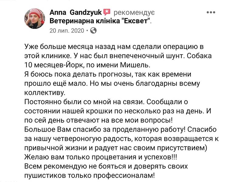 Відгук про лікування в клініці Ексвет, портосистемний шунт, йоркширський тер'єр Мішель