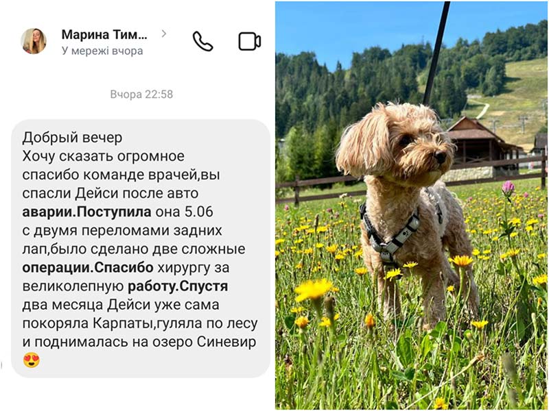 Відгук про лікування у ветеринарній клініці Ексвет- переломи у собаки