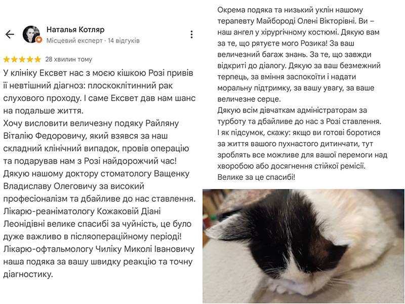 Кішка з діагнозом плоскоклітинний рак - вівдгук про лікування у ветеринарній клініці Ексвет