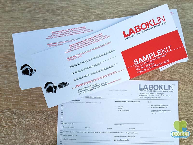 Генетичні дослідження лабораторії Laboklin в Одесі