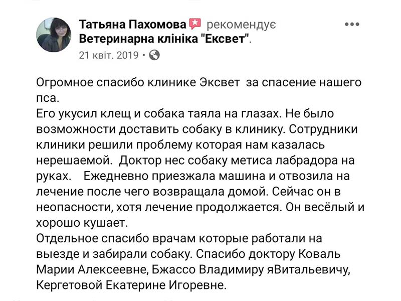 Собаку вкусив кліщ - відгук про лікування в Ексвет