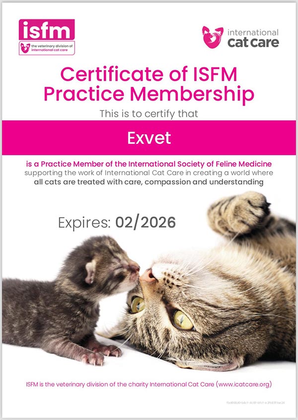 Ветеринарна клініка "Ексвет" - Cat Friendly Clinic в Одесі