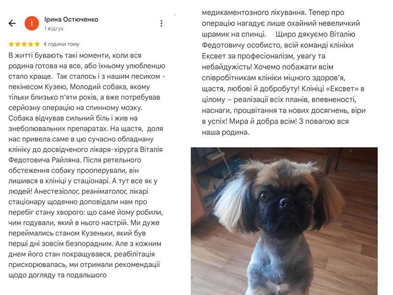 Відгук про хірургічне лікування спини пекінесу у ветеринарній клініці Ексвет