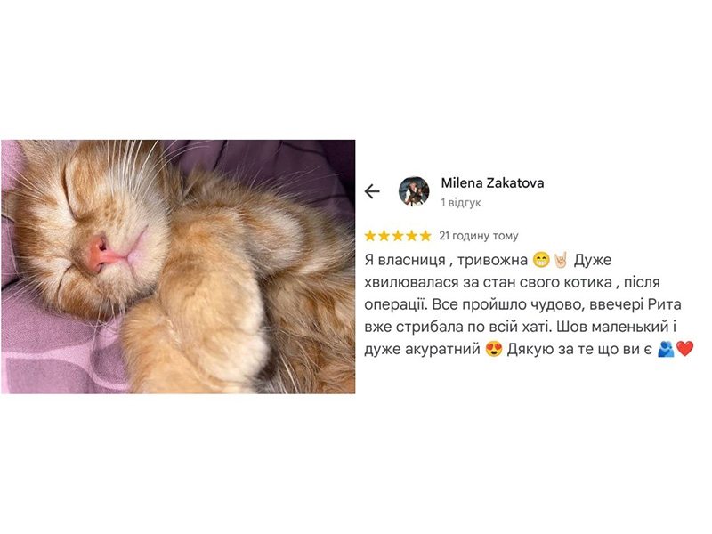 Відгук пр остерилізацію кішки в ветеринарній клініці Ексвет, Одеса
