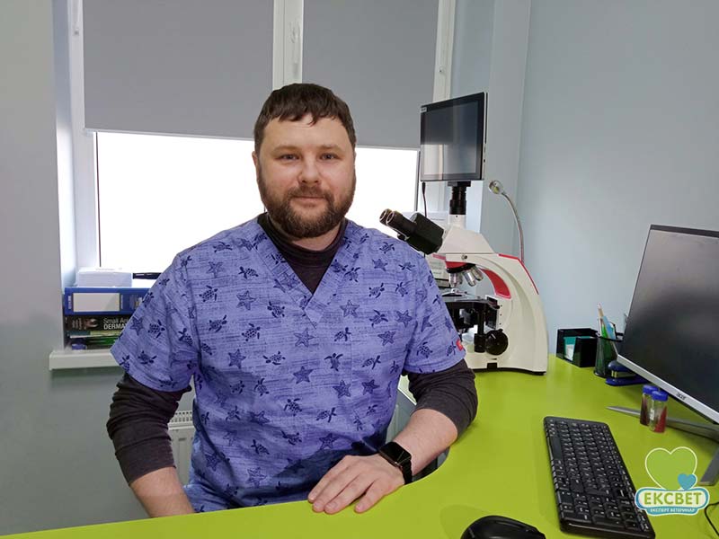 Валерий Юрійович Скорох - лікар-дерматолог ветеринарної клініки Ексвет