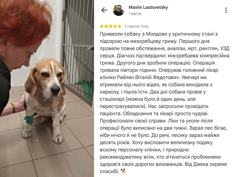 Пацієнт Ексвет собака Джек, лікування дископатії - відгук