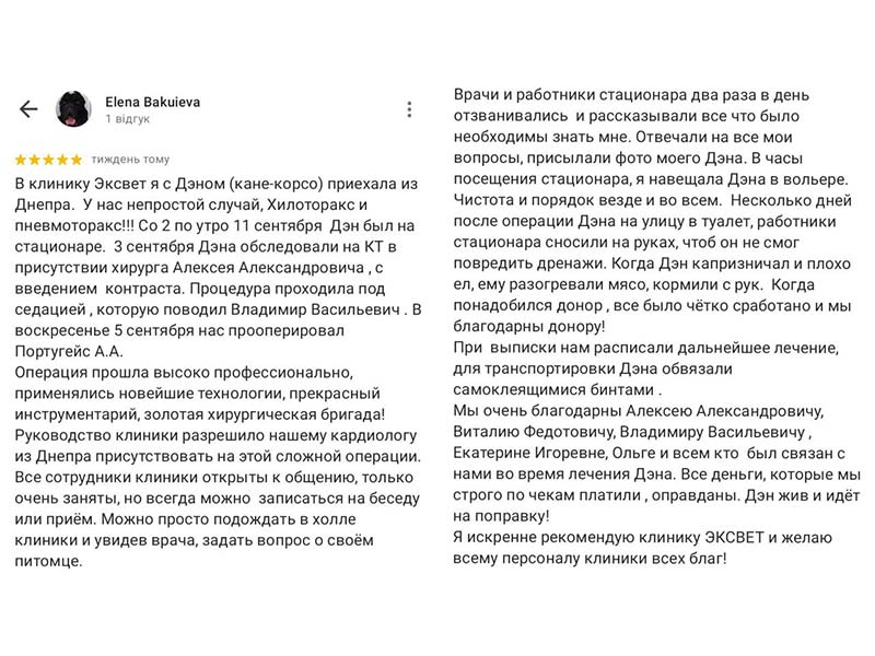 Відгук від власників собаки - пацієнт ветеринарної клініки Ексвет, діагноз  хілоторакс