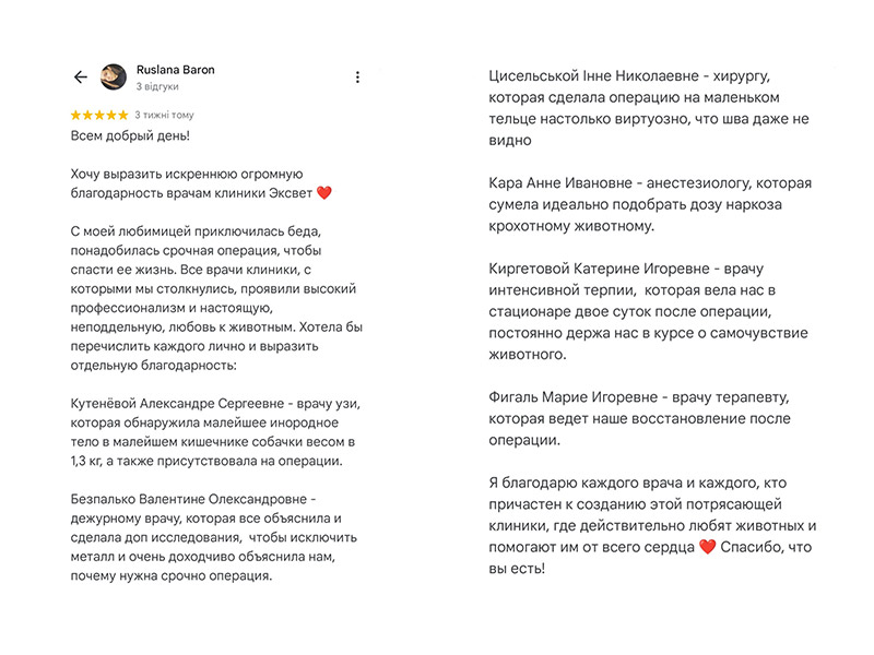 Ексвет - ветеринарна клініка в Одесі, відгук