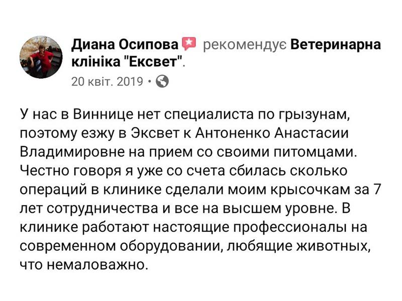 Відгук про лікування декоративних щурів у ветеринарній клініці Ексвет