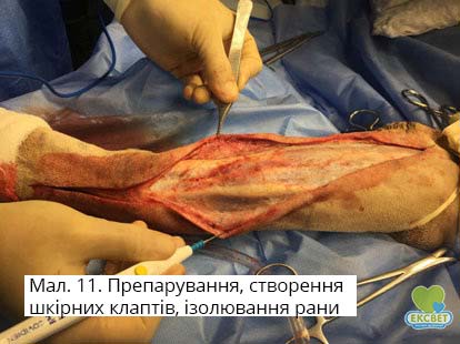 Препарування, створення шкірних клаптів, ізолювання рани