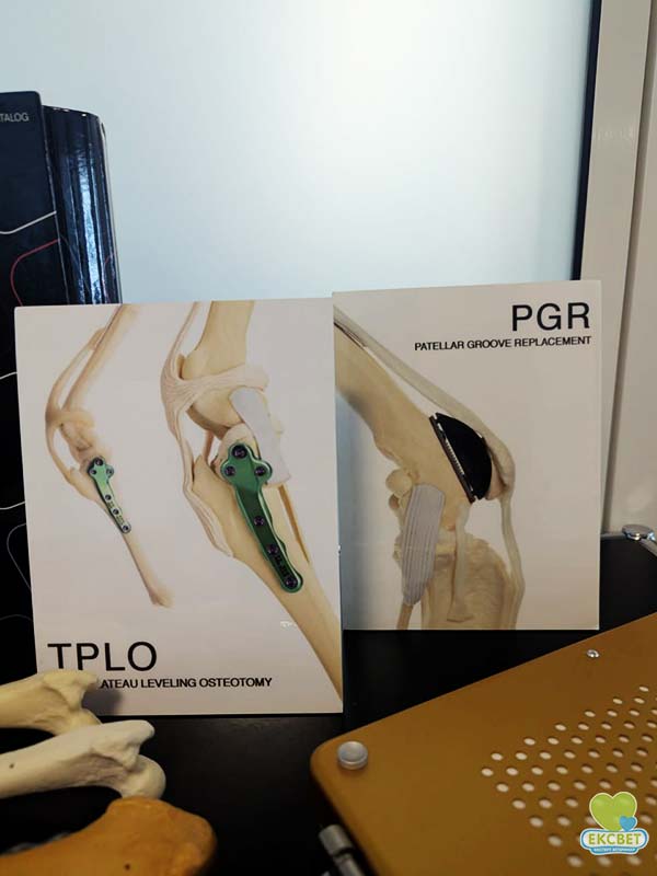 Імпланти KYON для  операцій TPLO та PGR