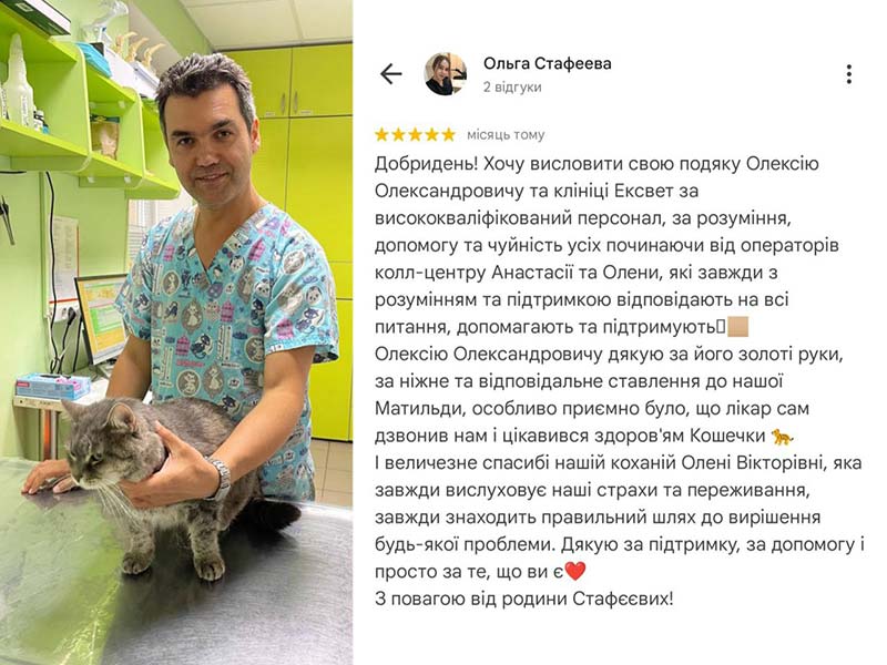 Кішка Матильда, пацієнт ветеринарної клініки Ексвет - відгук
