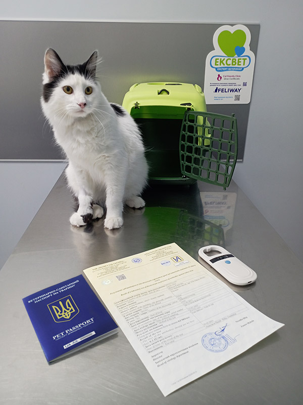 Ветеринарний паспорт міжнародного зразка, чип, FAVN-тест (титри) та інші документи, необхідні для виїзду тварини за кордон