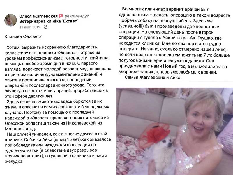 Собака Айка - відгук про Ексвет