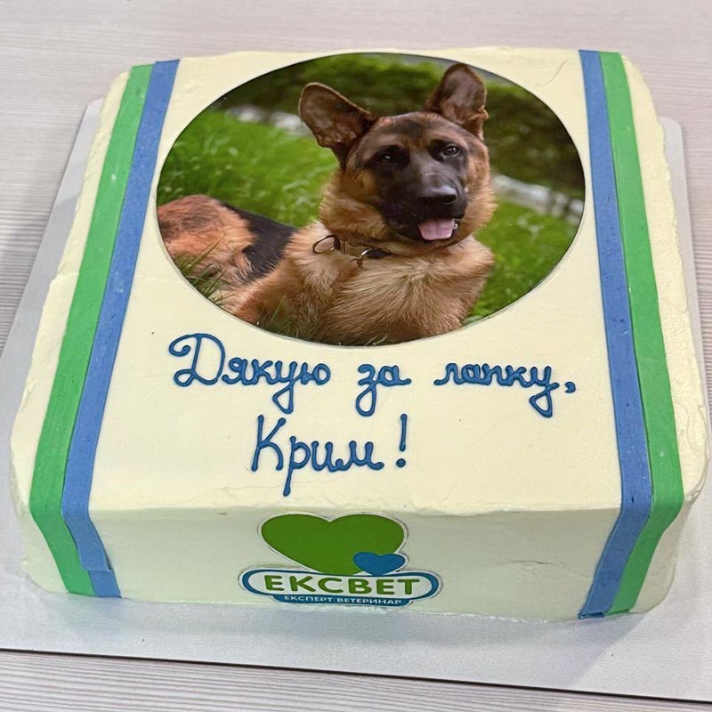Торт з подякою за вилікувану лапу від вівчарки Крима - пацієнта ветеринарної клініки Ексвет