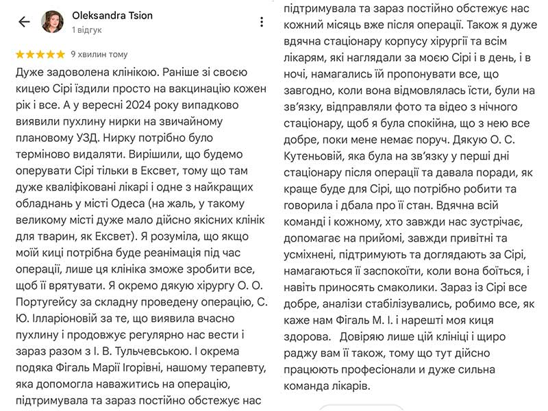Відгук прро лікування кішкі Сірі у ветеринарній клініці Ексвет