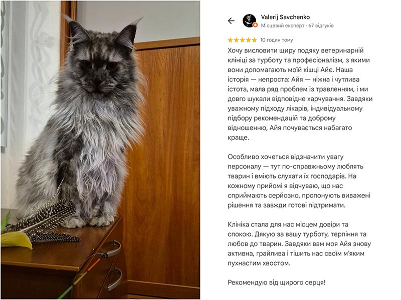 Ветеринарна клініка Ексвет в Одесі - відгук про лікування кішки та сервіс
