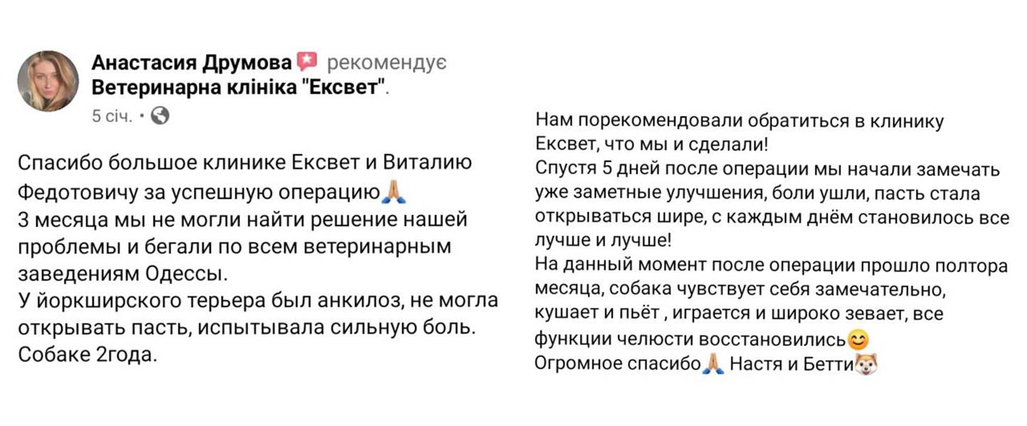 Відгук про лікування анкілоза у ветеринарній клініці Ексвет