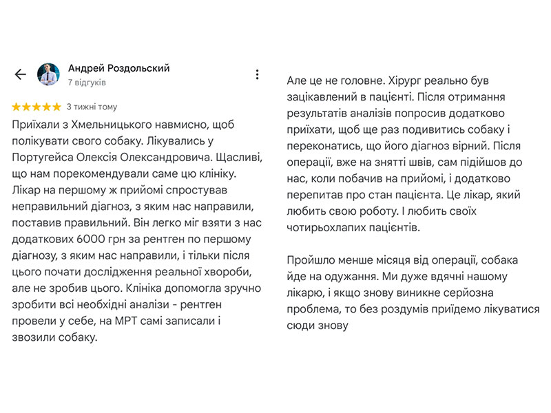 Відгук про те, як ветеринарній клініці Ексвет в Одесі лікували собаку з Хмельницького. Відгук на 5 зірок з 5