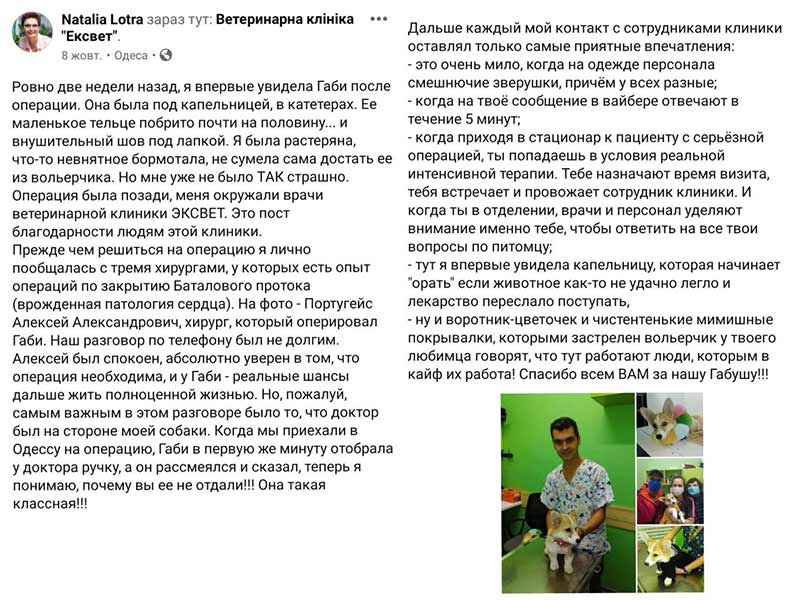 Собака Габі, відгук про лікування в ветеринарній клініці Ексвет