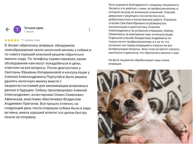 Відгук про лікування у ветеринаній клініці Ексвет - видалення новоутворення біля молочної залози у собаки