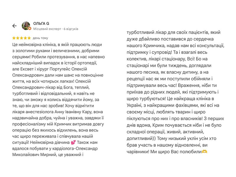 Собака Крим, протезування кульшового суглоба - відгук про лікування у ветеринарій клініці Ексвет