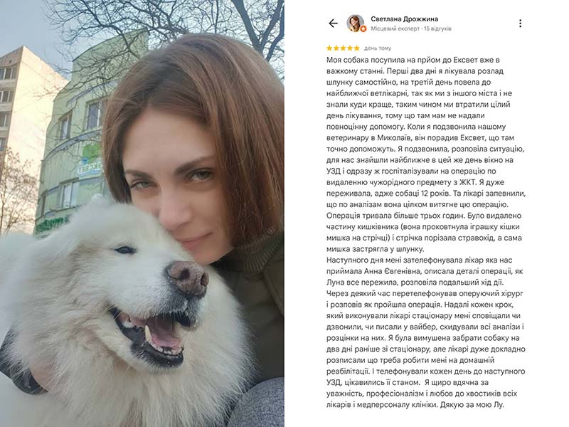 Відгук про роботу ветеринарної клініки Ексвет. Пацієнт - собака Луна