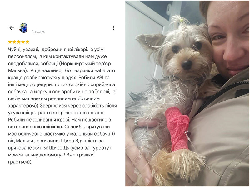 Ветеринарна клініка Ексвет - відгук від пацієнтки, собака Мальва
