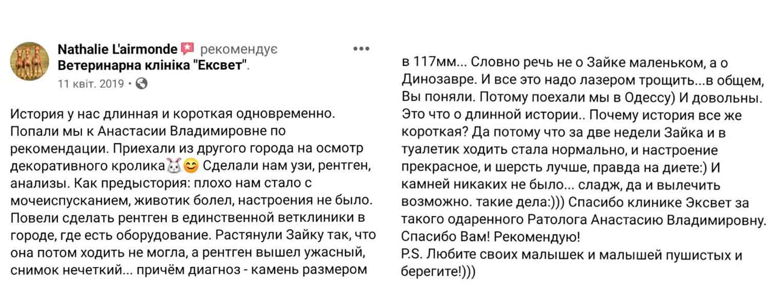 Відгук про лікування кролика у ратолога Ексвет Анастасії Антоненко