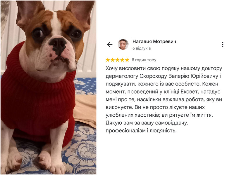 Відгук про лікування у дерматолога ветеринарної клініки Ексвет в Одесі